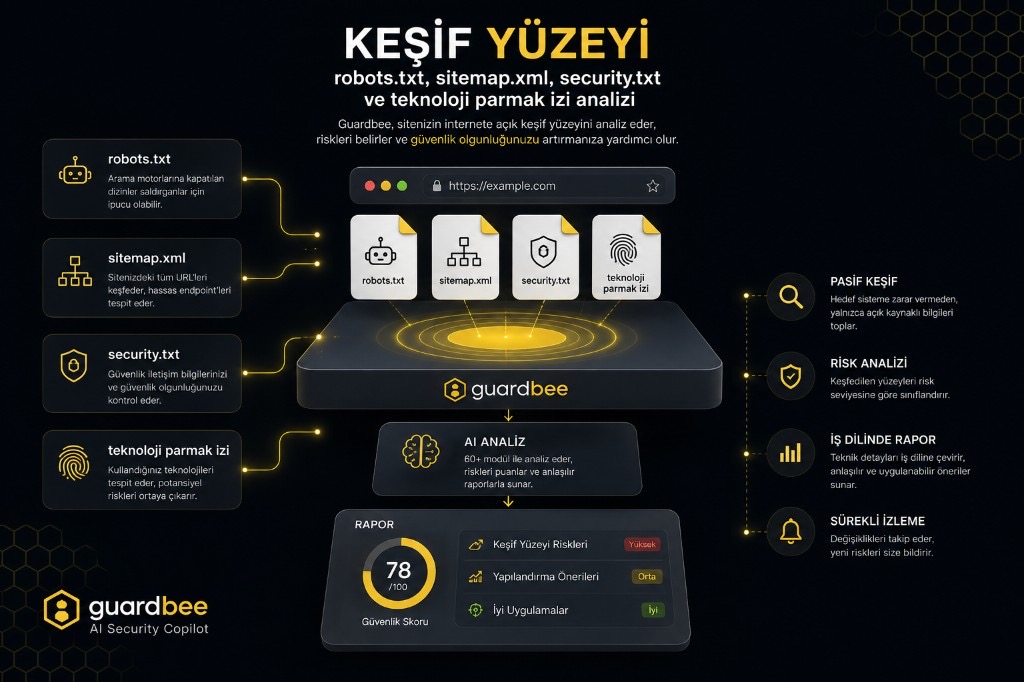 Discovery surface infographic — robots.txt, sitemap.xml, security.txt, technology fingerprint